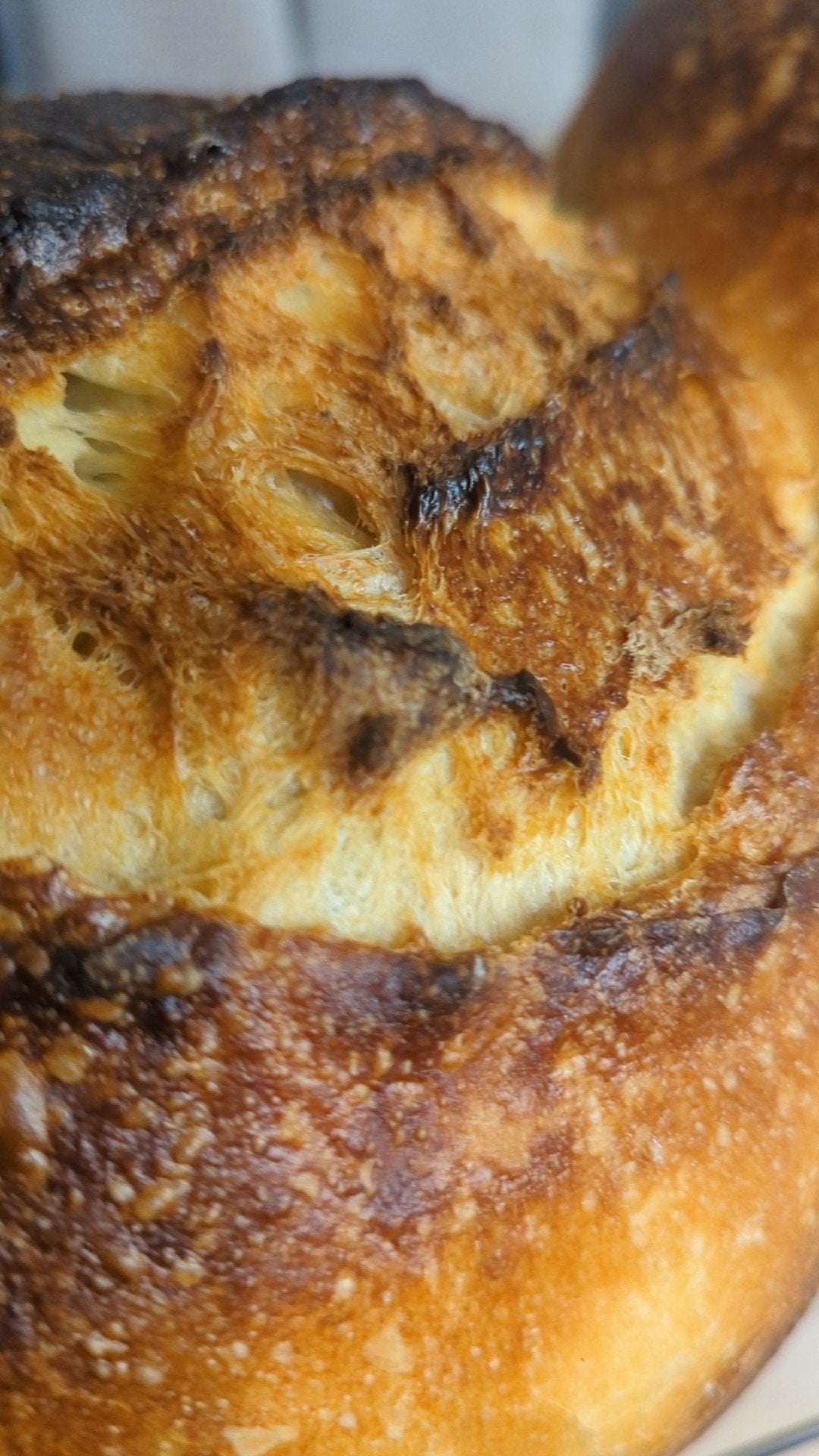Sourdough Loaf