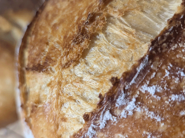 The Anatomy of a Perfect Sourdough 