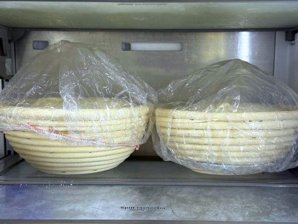 The Long Nap: Why We Cold-Ferment