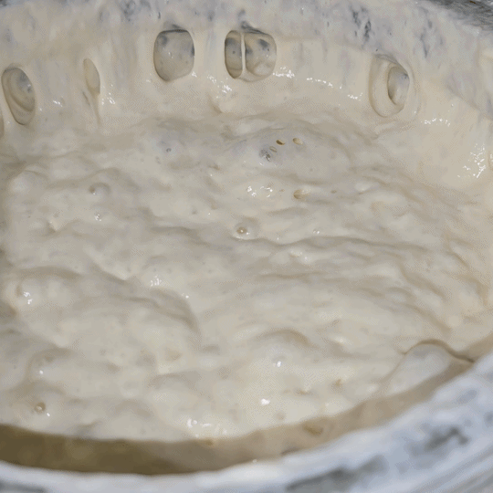 Sourdough Fermentation Craft