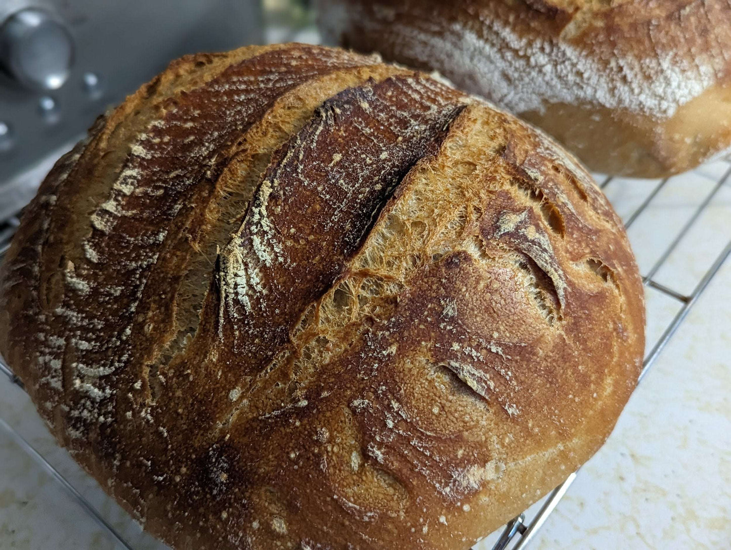 Sourdough Loaf