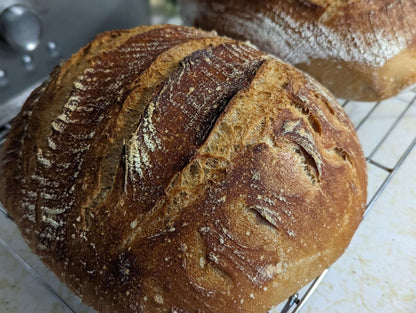 Sourdough Loaf