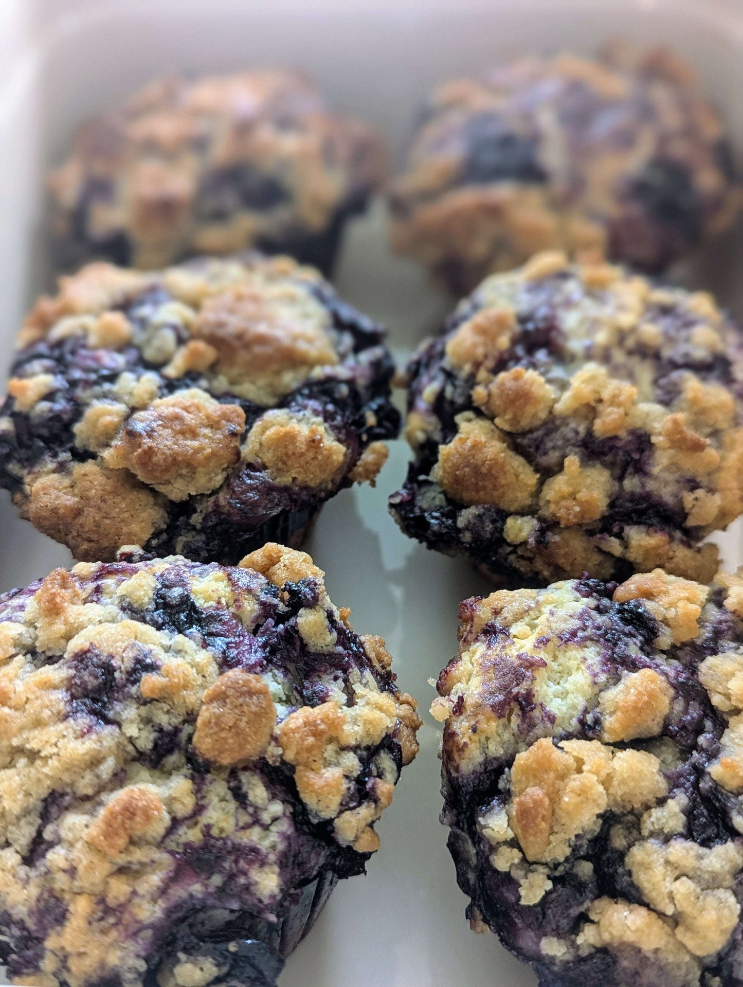Blueberry Streusel Muffins (4 Pack)