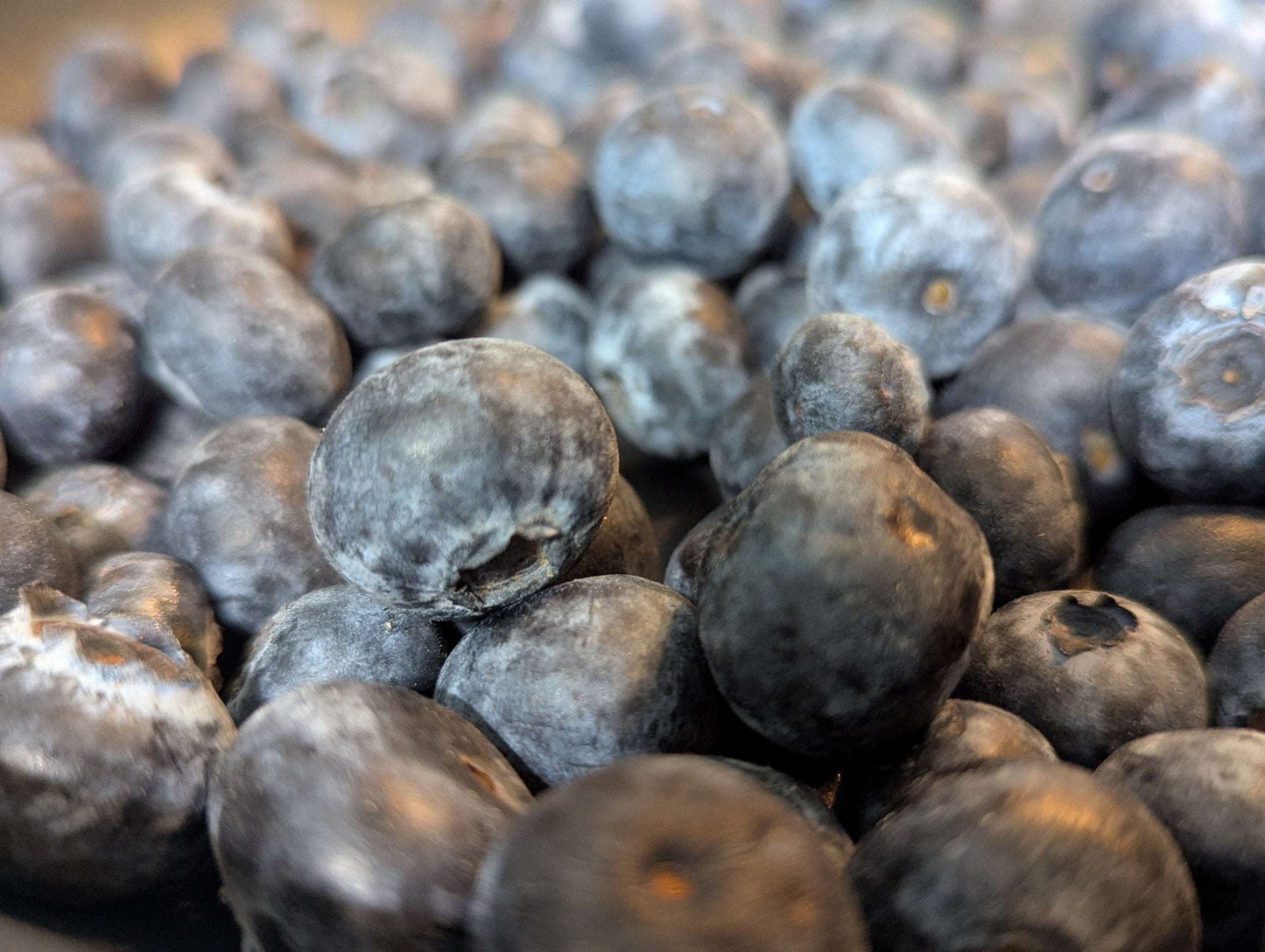 Blueberry Streusel Muffins (4 Pack)