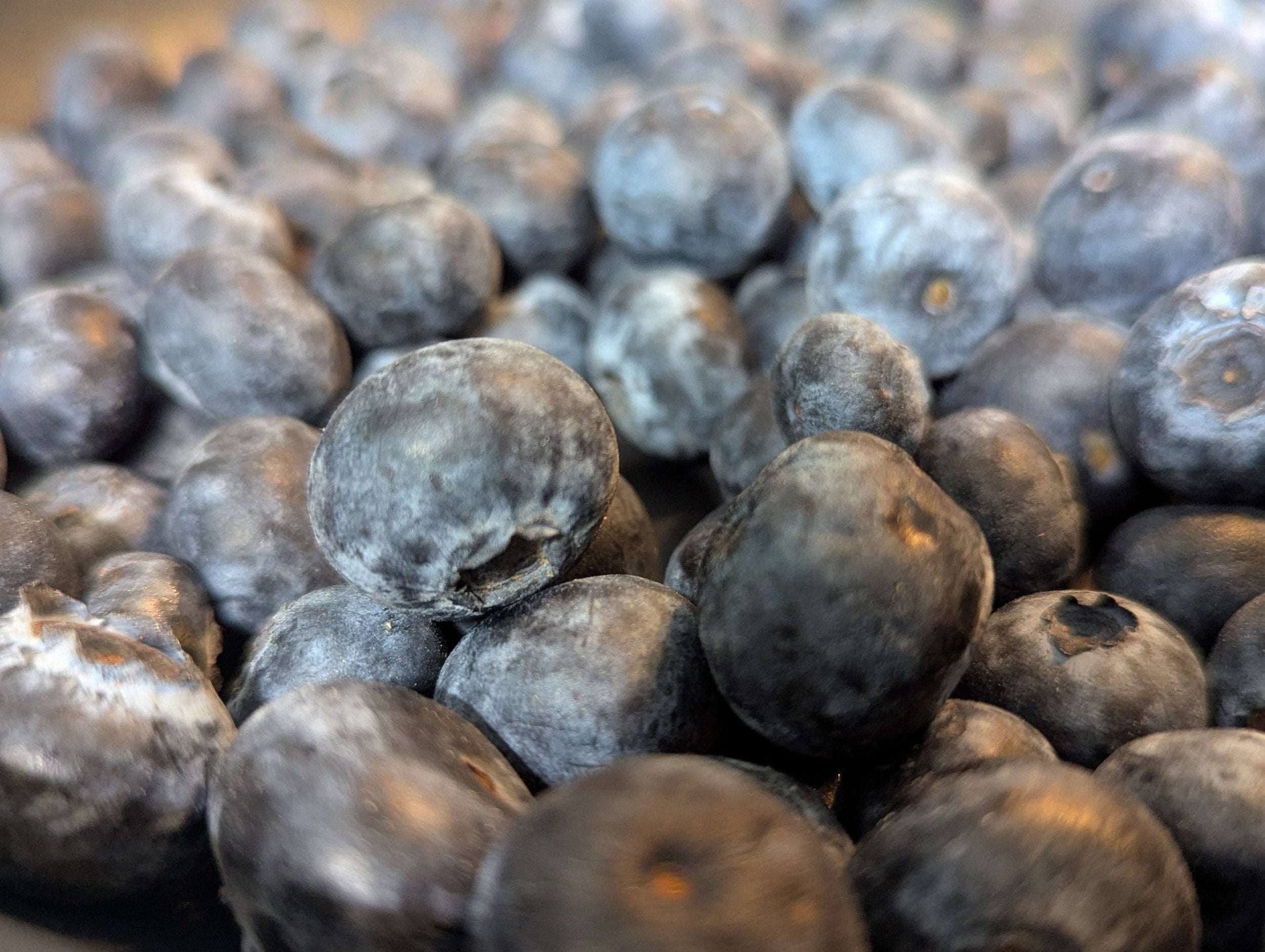 Blueberry Streusel Muffins (4 Pack)