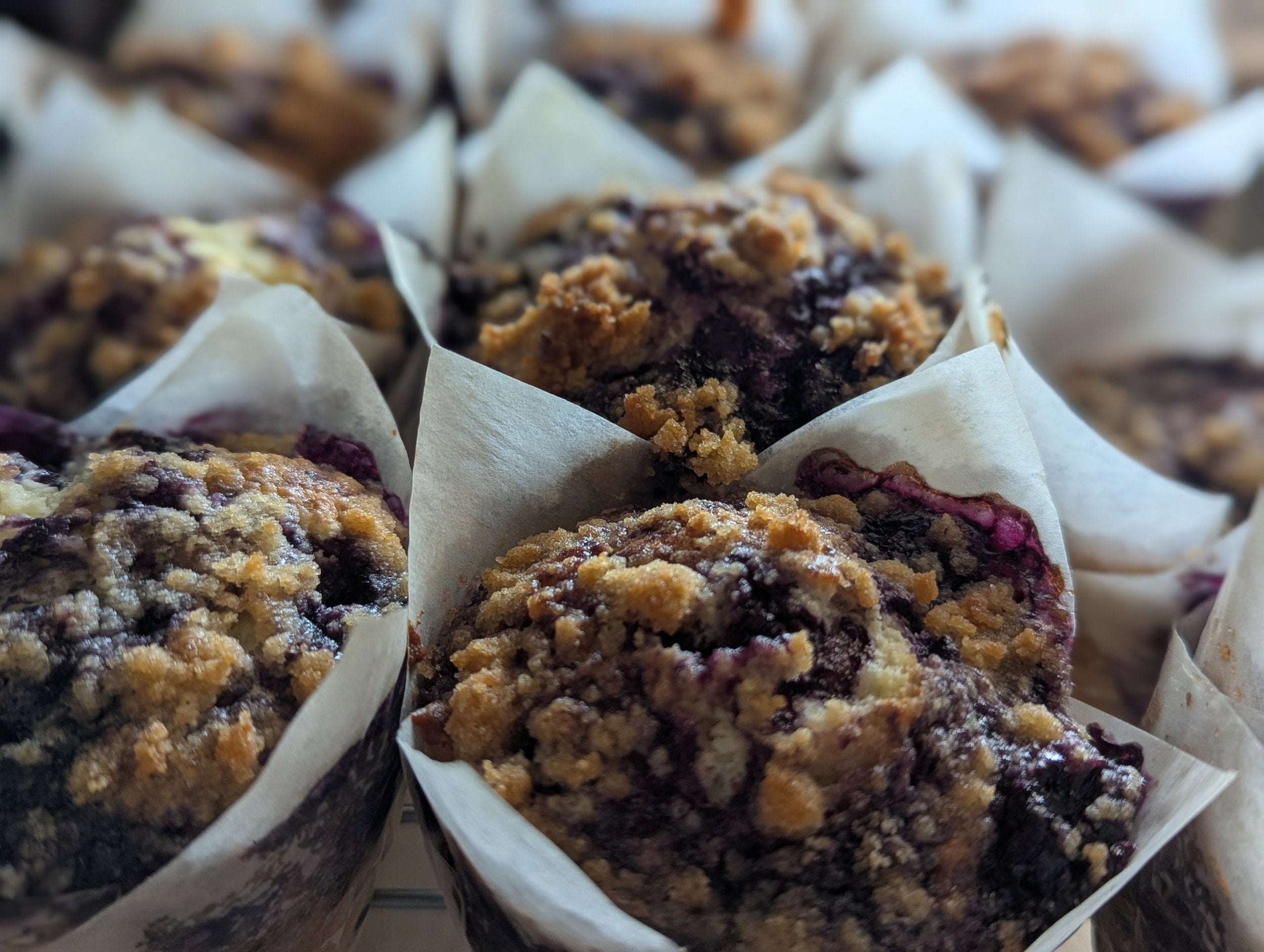 Blueberry Streusel Muffins (4 Pack)