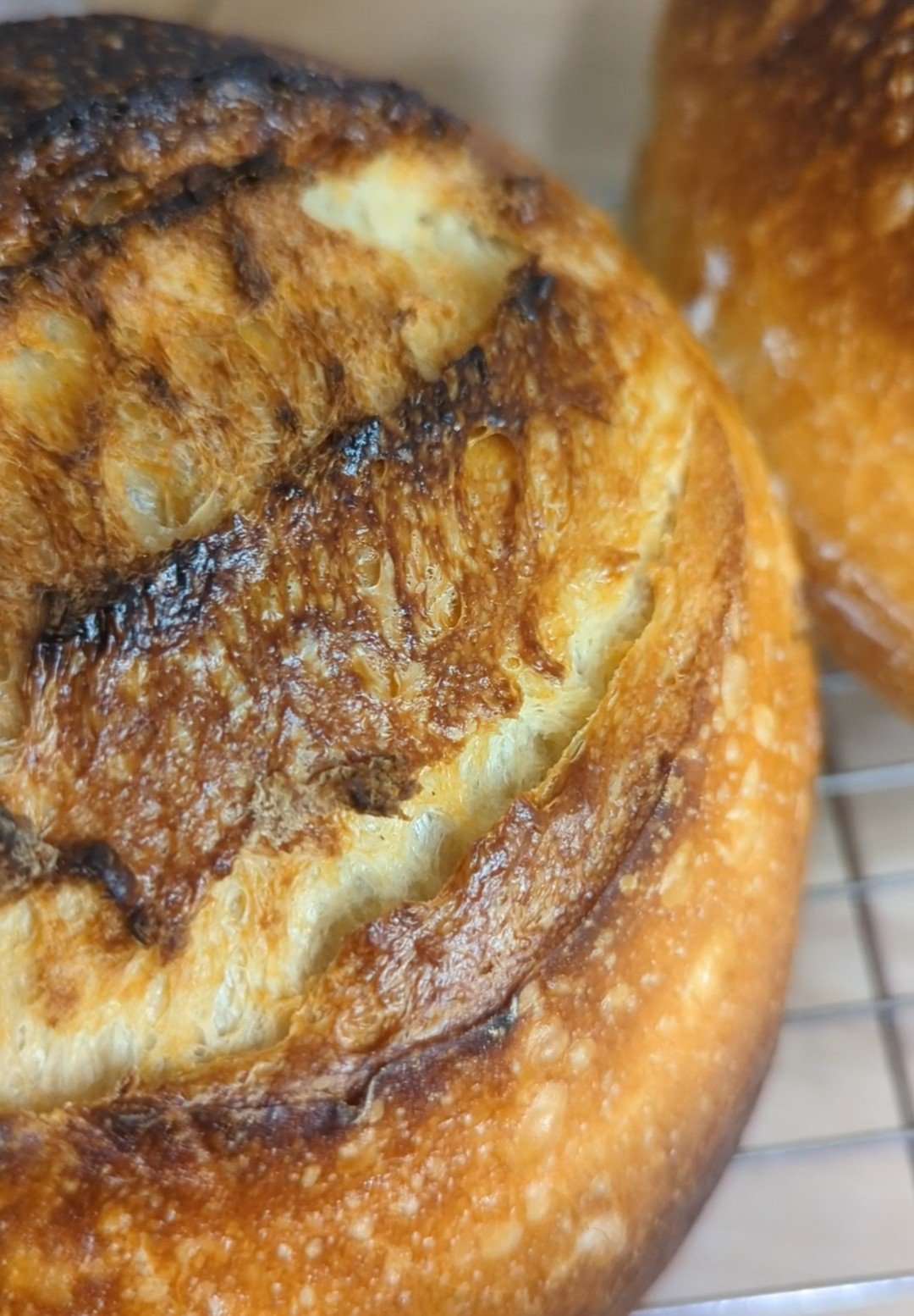 Sourdough Loaf