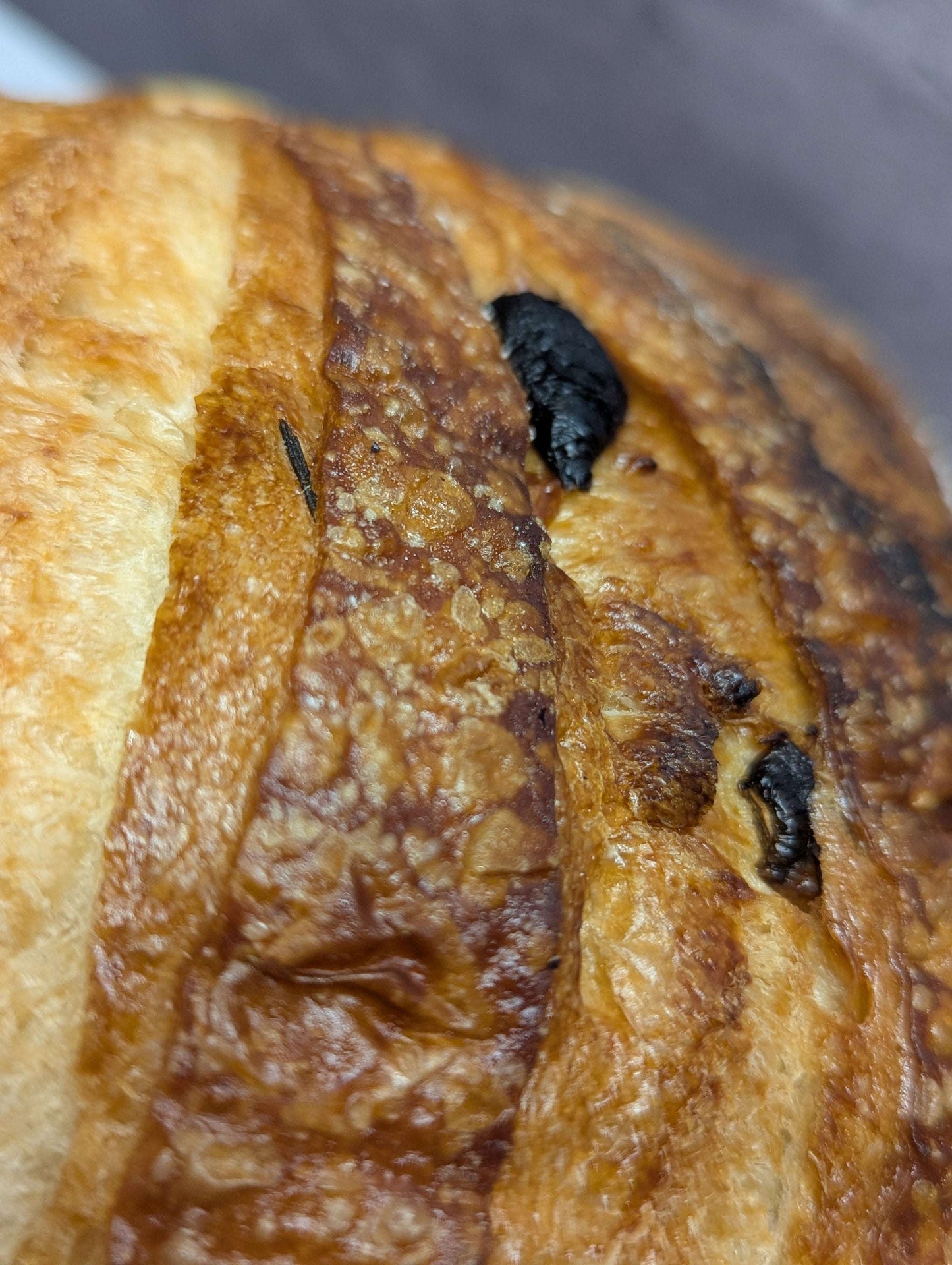 Rosemary Roasted Garlic Sourdough Loaf
