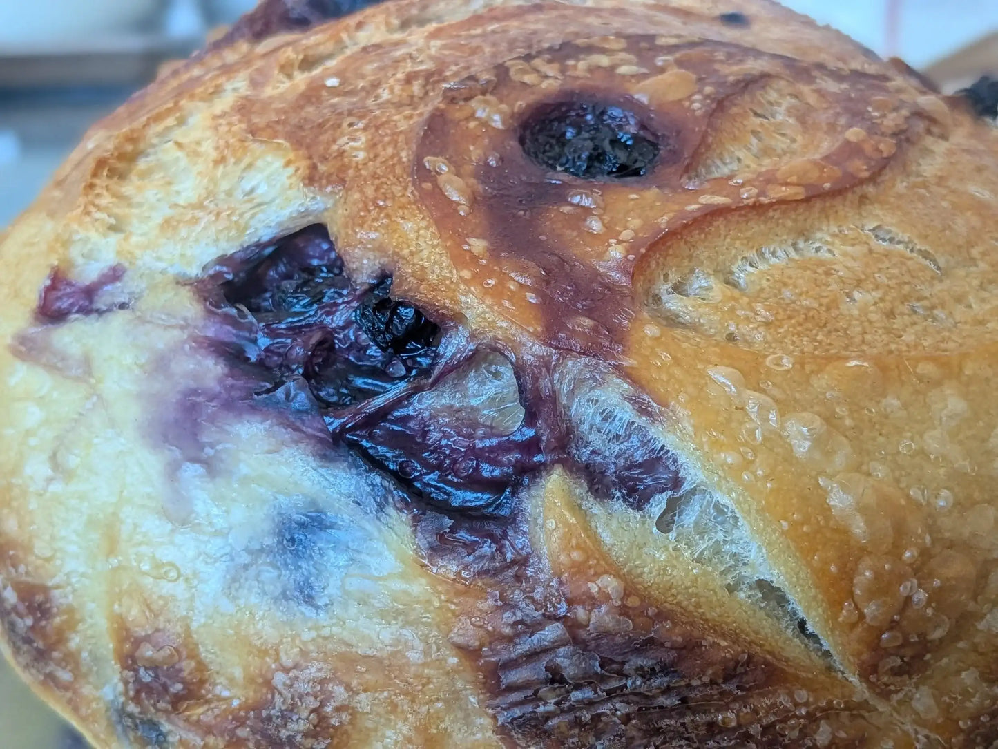 Blueberry Lemon Sourdough