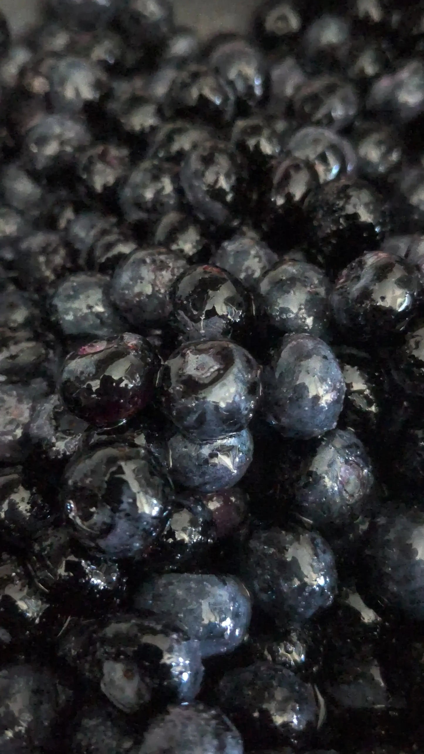 Blueberry Lemon Sourdough