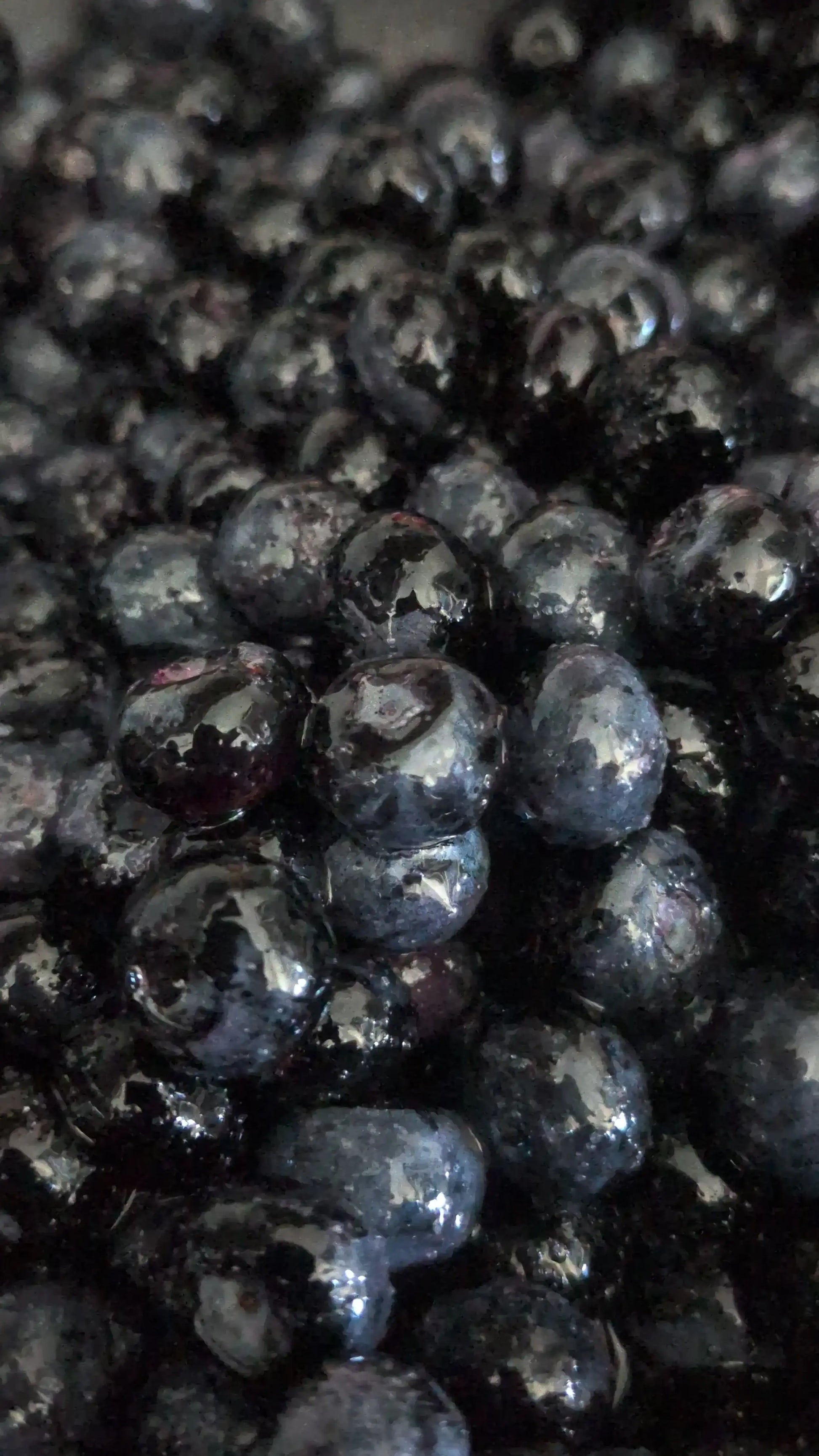 Blueberry Lemon Sourdough
